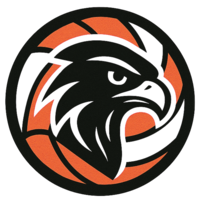 Rising Falcons Logo